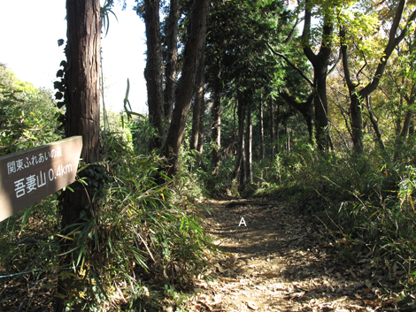 20151209hike (162)